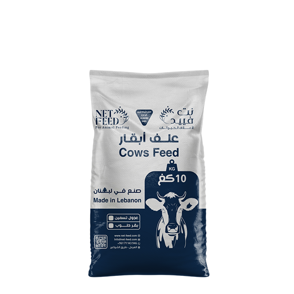 10 Kg